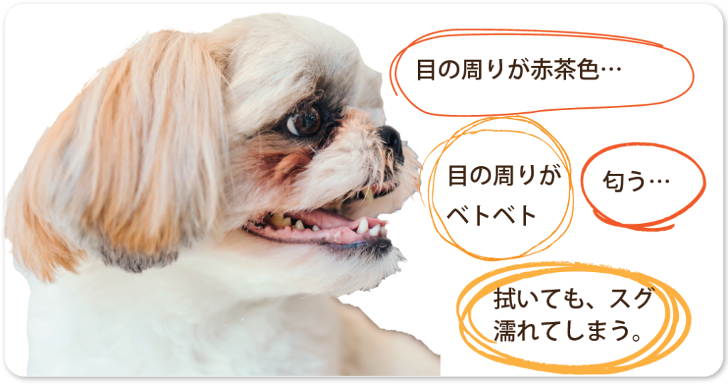 目の周りが赤茶色…
目の周りが
ベトベト
匂う…
拭いても、スグ
濡れてしまう。