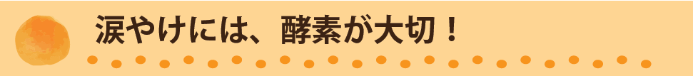 涙やけには、酵素が大切
